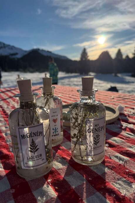 Genepi discovery and creation workshop