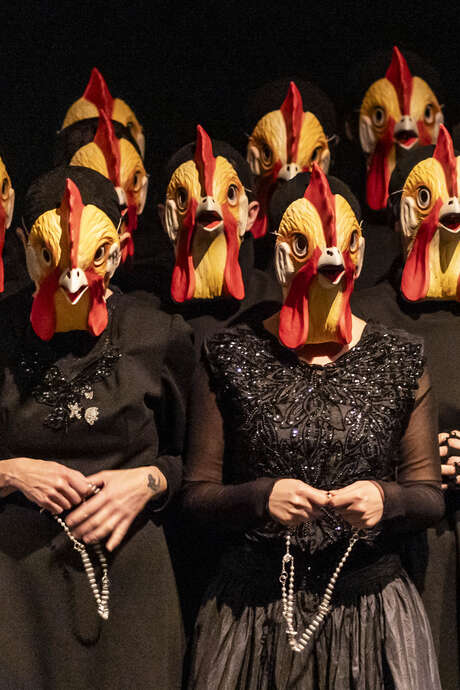 Spectacle : Re Chicchinella