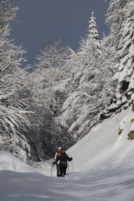 Balades raquettes Weekend à La Féclaz ou au Revard