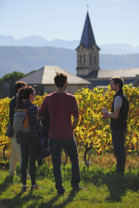 Vignobles en Scène : Animations au Domaine de l'Idylle