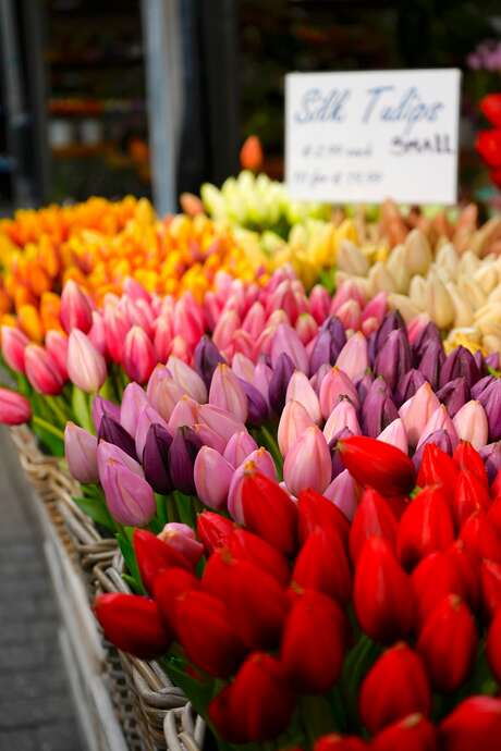 Foire aux fleurs et marché artisanal