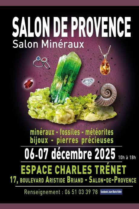Salon Minéraux
