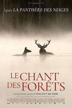 Cinéma : Le chant des forêts