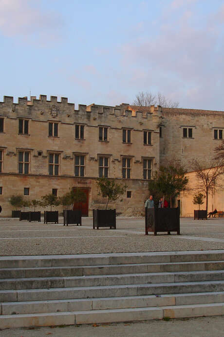 Visite guidée du Musée du Petit Palais - Le Louvre en Avignon