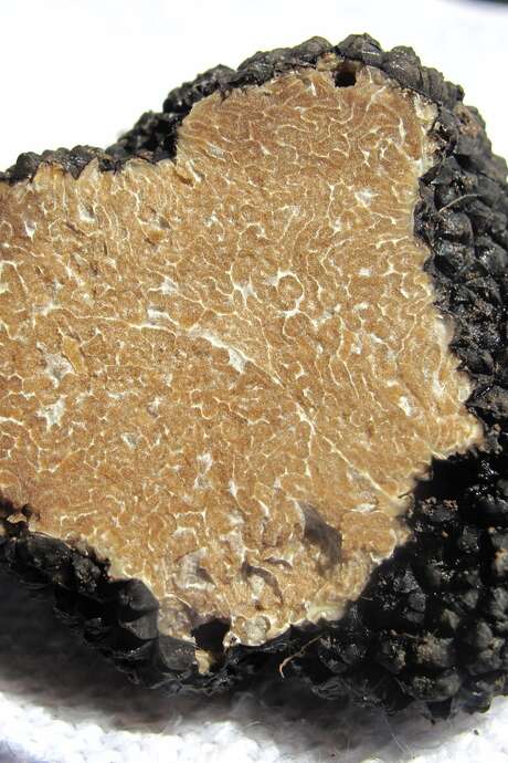 Fondue aux truffes au Caveau Bugiste