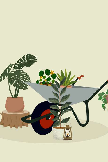 Nature Festival : Creative workshops