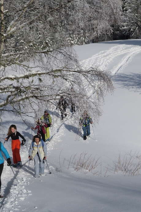 Escursioni con racchette da neve alla Féclaz o al Revard