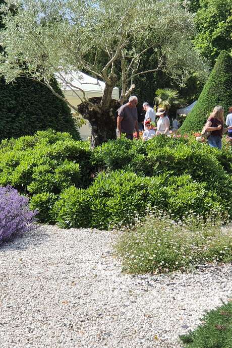 A day in the garden