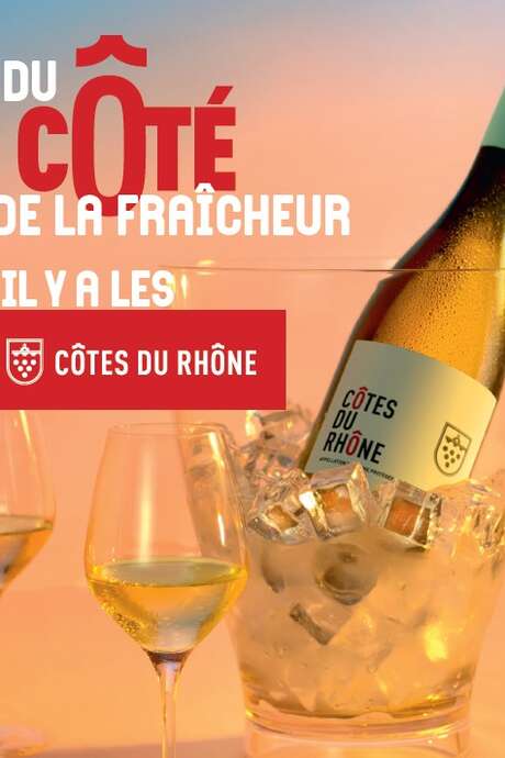 Atelier École des Vins - Cap fraicheur en Côtes du Rhône