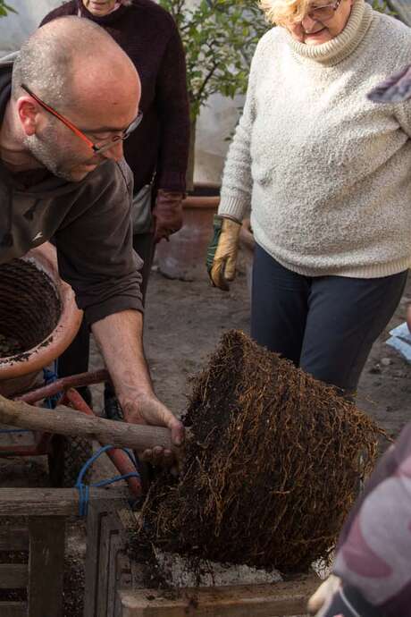 Dimanche au jardin : le printemps