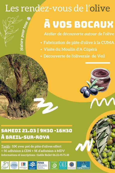 Rendez-vous de l'olive avec Curieux de Nature