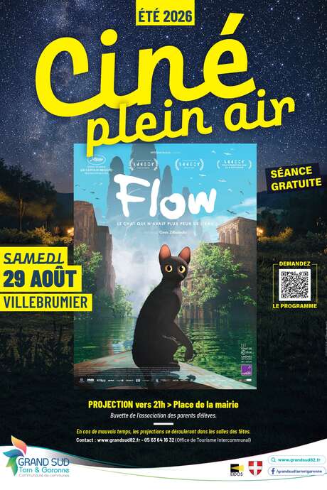 Ciné Plein Air /"Flow"