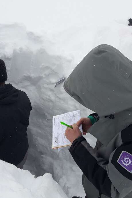 Le suivi du manteau neigeux : sondage par battage