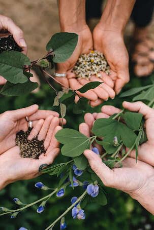 Atelier d'herboristerie