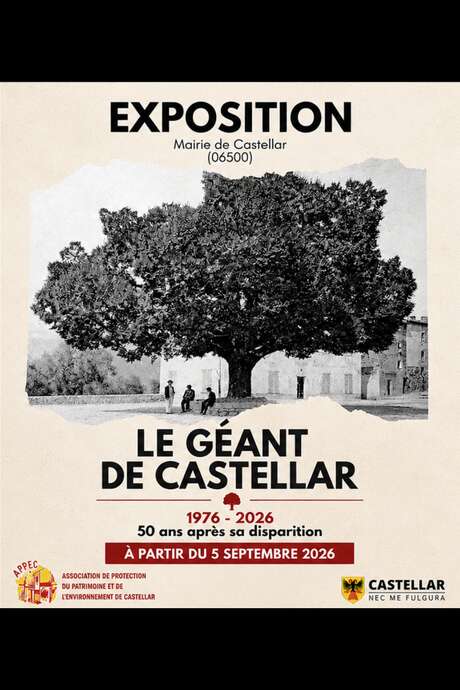 Heritage Days in Castellar