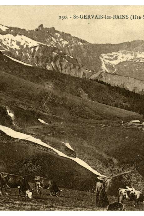 Conférence "Heidi, une petite fille pour découvrir les Alpes" - Gilles Fumey