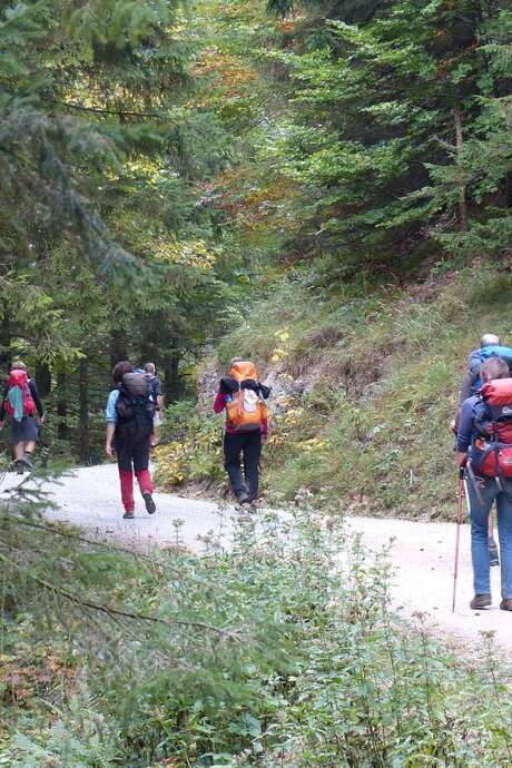 Randonnée "le Puy de Barque"