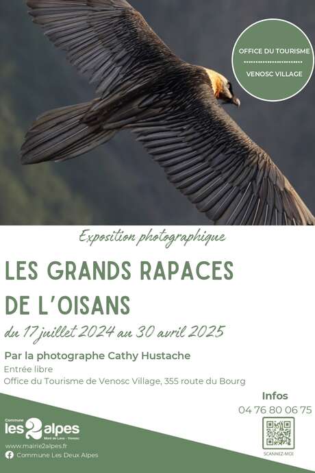 Photo exhibition - the great birds of prey of the Oisans