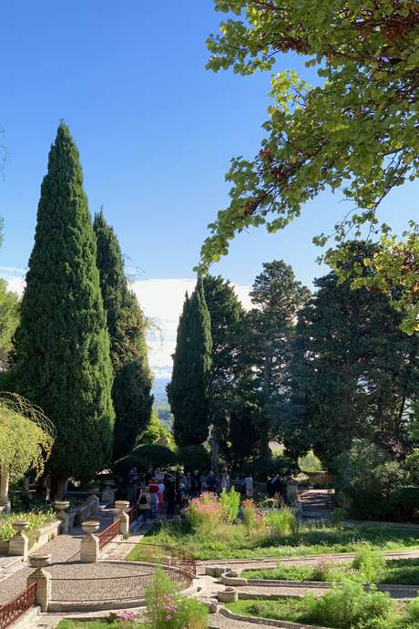 Conférence balade «De la fleur de la botanique à l’art»
