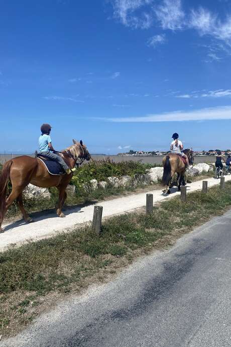 Horse rides