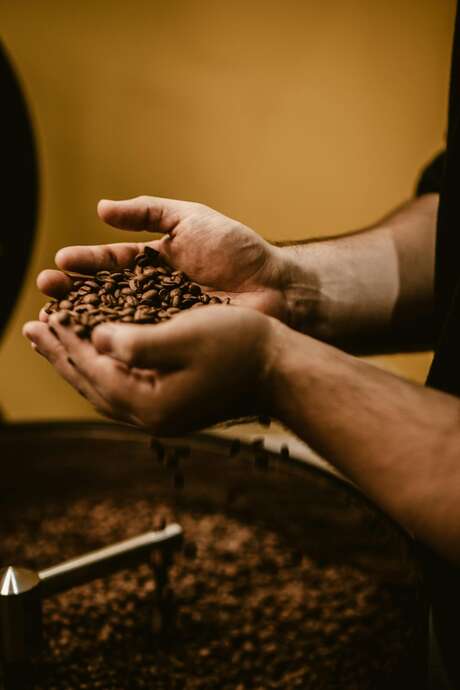 Au cœur de la torréfaction du café