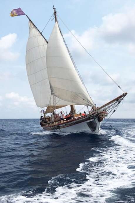 Journées de la Mer - Découverte des cétacés de Méditerranée