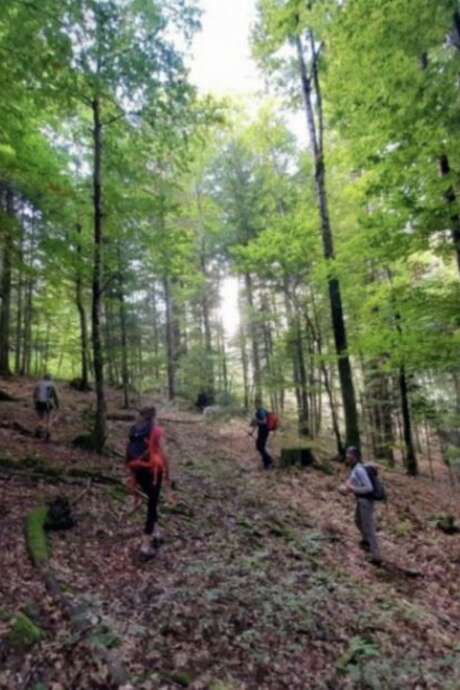 20 ans pour faire pousser l’avenir – Forêt du Groupement des Chavonnes