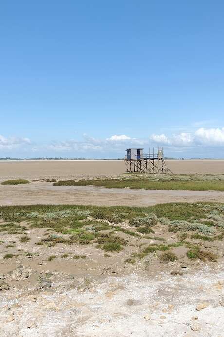 On the way to Fouras Cove