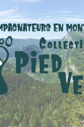 Sur les traces des animaux du Vercors