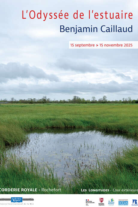 Exhibition : The Odyssey of the Estuary