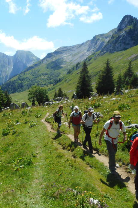 Randonnée découverte de la flore alpine