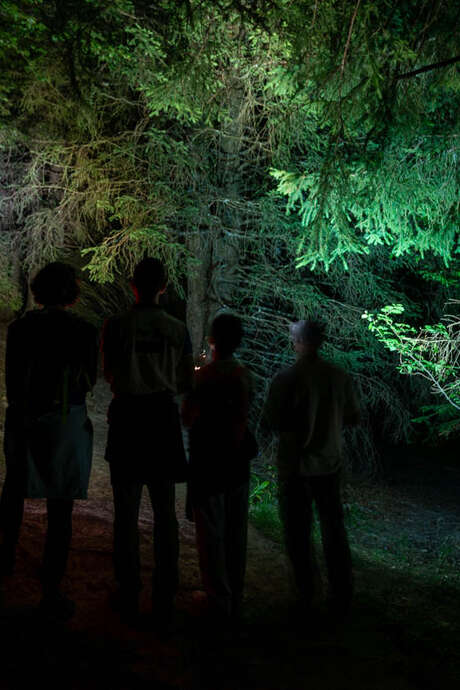 Randonnée nocturne - La grande Odyssée autrement