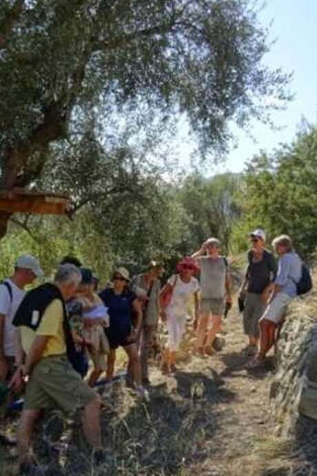 Exkursion - Grüner Spaziergang in Les Cuges: Kulturerbe, Terrassen und Wasser aus vergangenen Zeiten