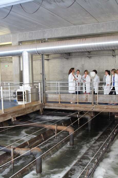 Atelier de l'eau : Traitement des eaux usées