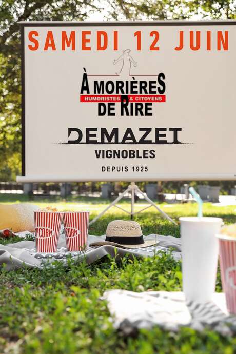 Cinéma plein air, une toile sous les étoiles