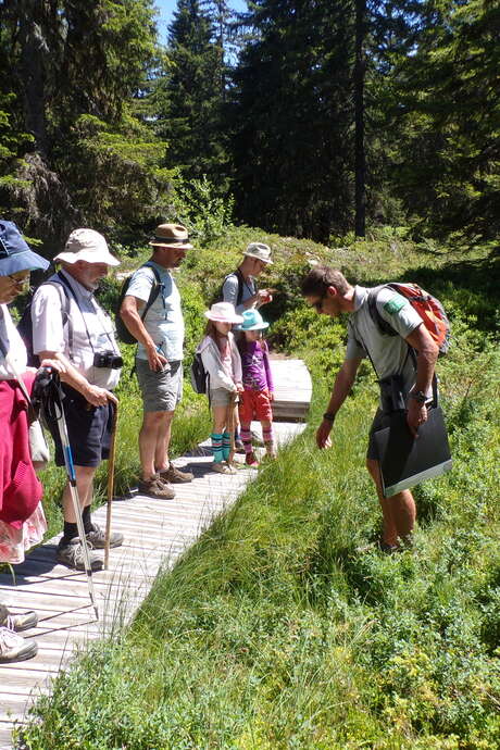 Visite guidée du sentier flore et milieux naturels avec la Réserve Naturelle Régionale