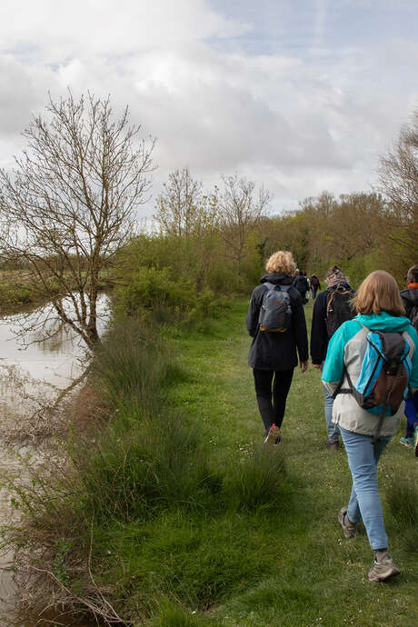 Découverte de la nature de proximité au fil des saisons