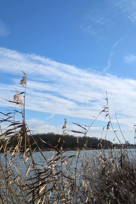 Meetings with Blandine Giambiasi : mapping workshop