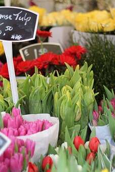 Flower and plant market and garage sale