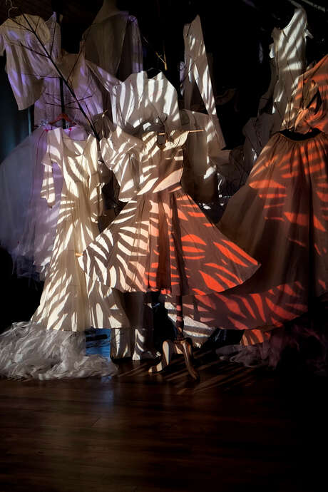 Spectacle performance : La nuit les chats sont gris