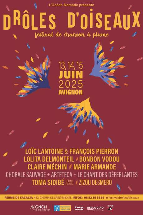 Festival Drôles d'oiseaux