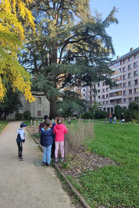 Le coin des enfants (7-12 ans) : rallye-nature jardin du Museum