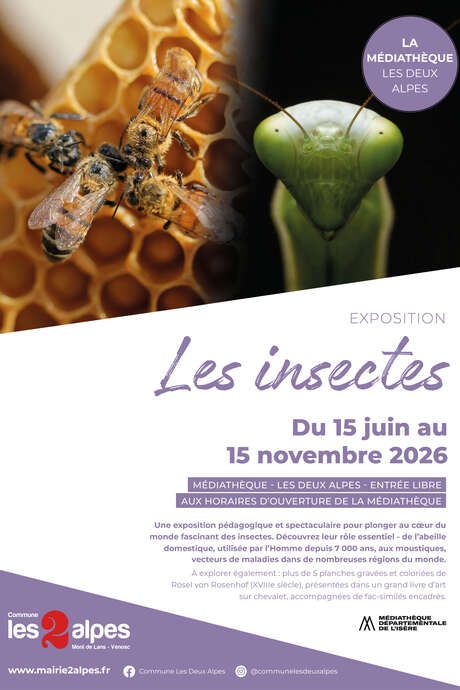 Mostra - Gli insetti