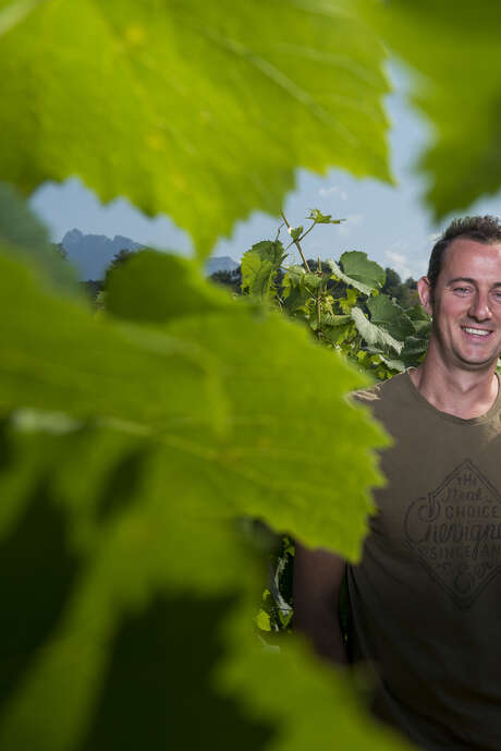 Apéro'vignes au Domaine Vendange