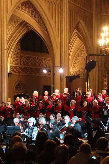 Concert classique : Jommelli - Schubert - Haydn