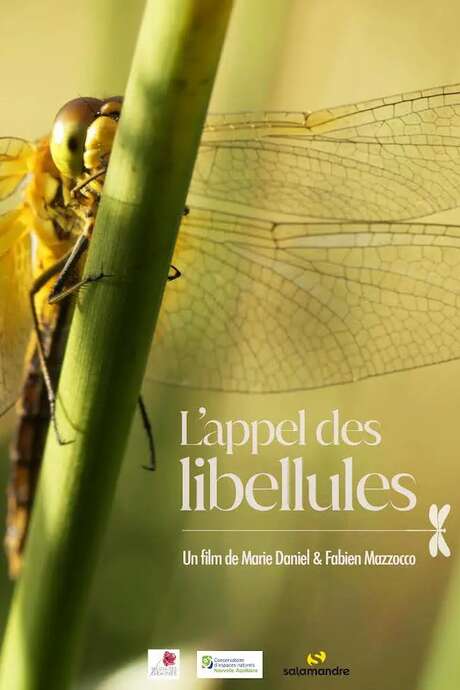 L'appel des libellules : film en refuge