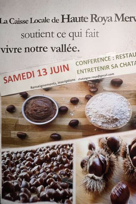Restaurer et entretenir sa chataignerie