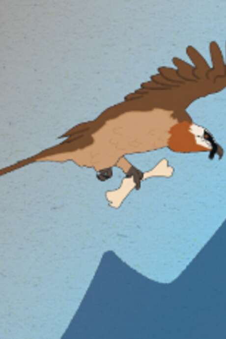 Raconte-moi la science : Eliot le Gypaéton