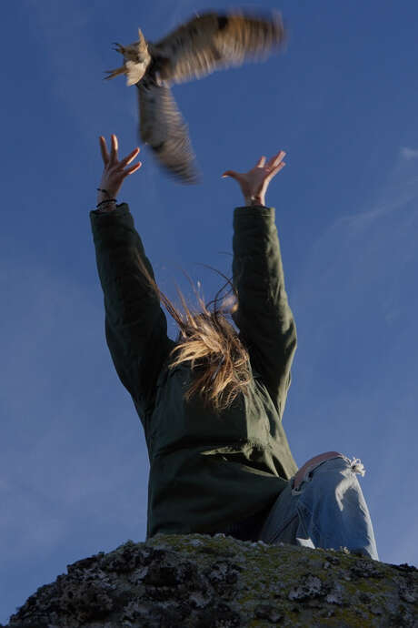 Ciné Nature : Animus Femina