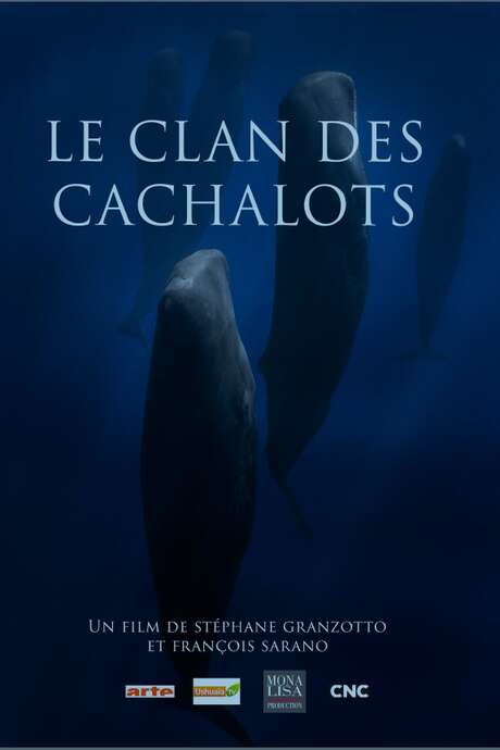 Projection - Le Clan des Cachalots - Stéphane GRANZOTTO